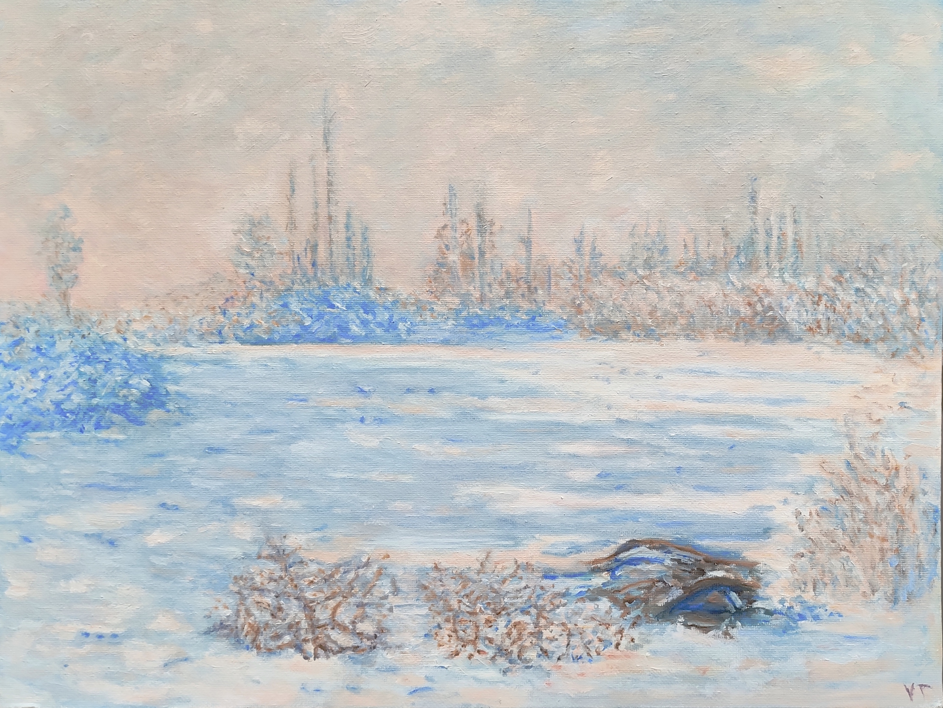 Frost