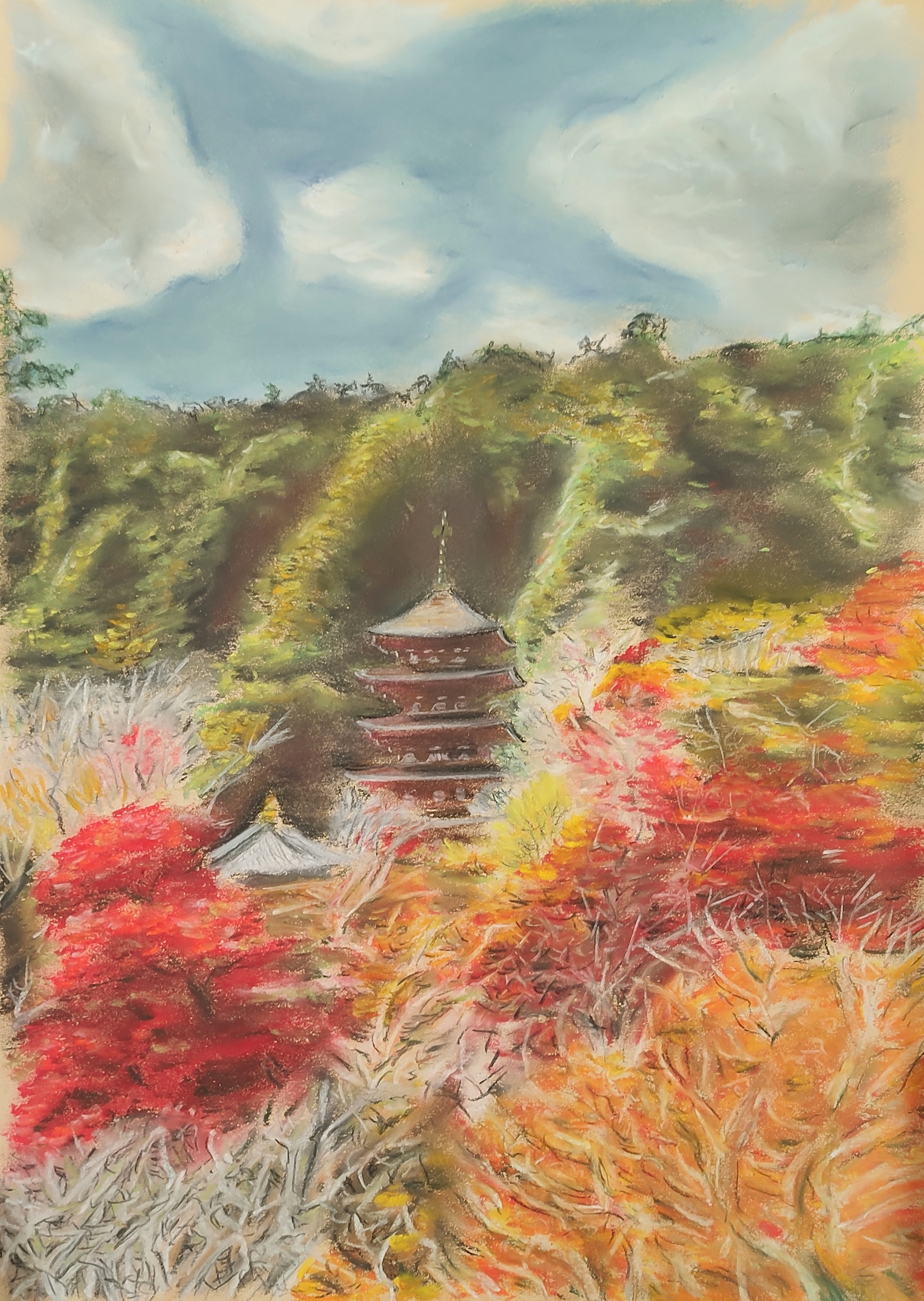 Hasedera